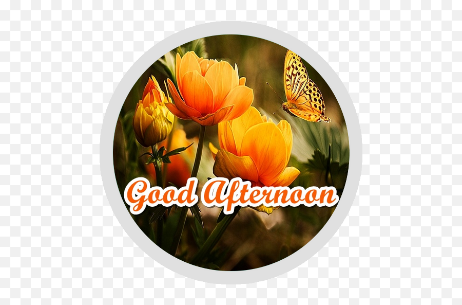 Good Afternoon Flowers Stickers - Wastickerapps Latest Ver Figurinhas Maravilhosa Emoji,Good Afternoon Emoji