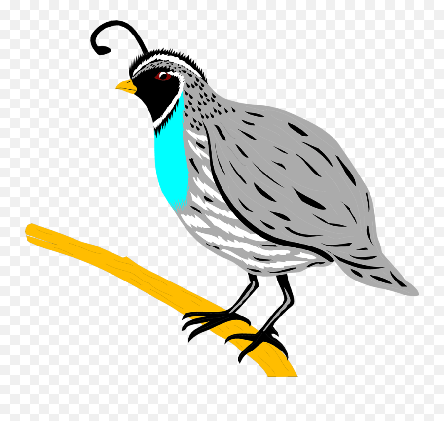 Clipart Of A Quail - Clipart Quail Emoji,Quail Emoji