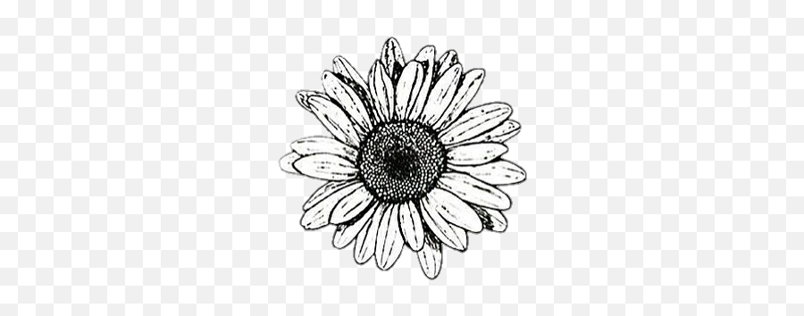 Background Black White Flower Cute - Cute Black And White Flower Emoji,Black And White Flower Emoji