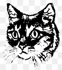Library Of Cat Face Jpg Black And White - Silhouette Transparent Emoji