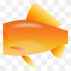 Real Fish - Transparent Background Orange Fish Clipart Emoji,Goldfish Emoji
