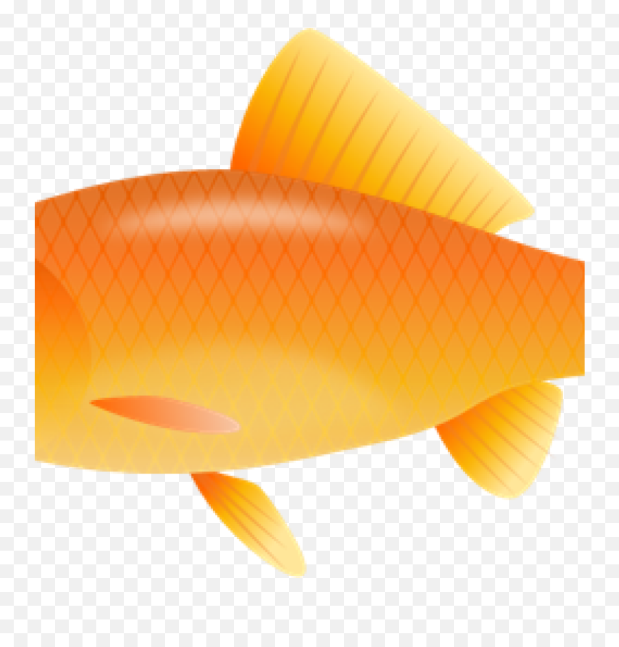 Real Fish - Transparent Background Orange Fish Clipart Emoji,Goldfish Emoji