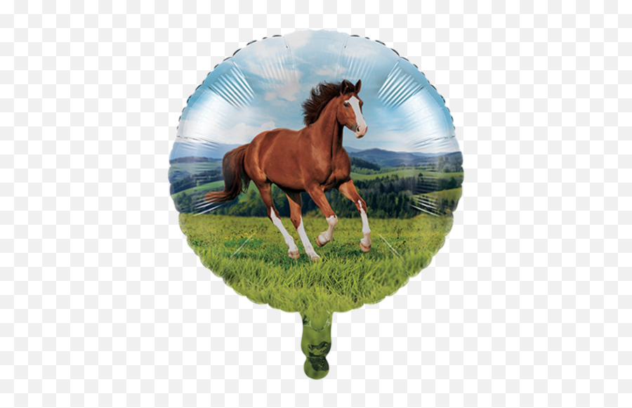 Melbourne Cup Unique Party Shop - Globos Centros De Mesa De Caballos Emoji,Horse Emoticons