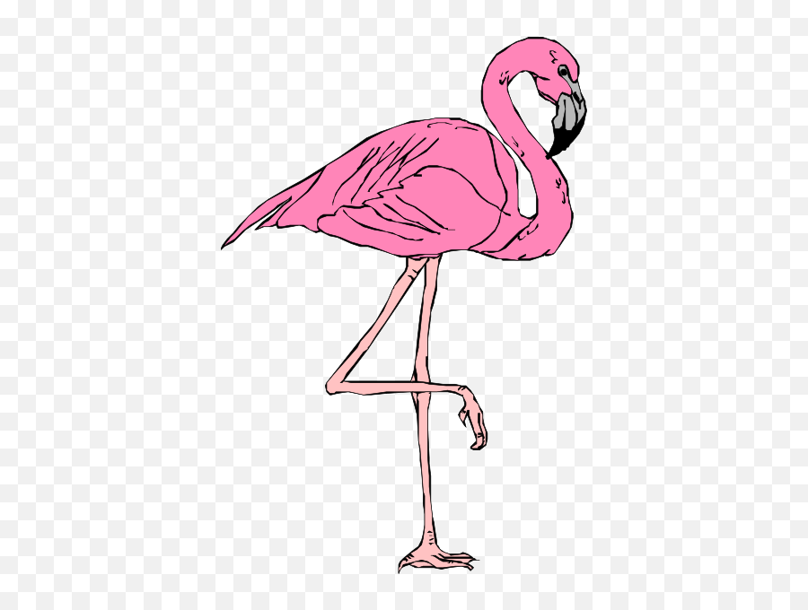 Pink Flamingo Clipart A Pair Of Pink Birds Digital Clip Art - Flamingo Animal Clip Art Emoji,Flamingo Emoji