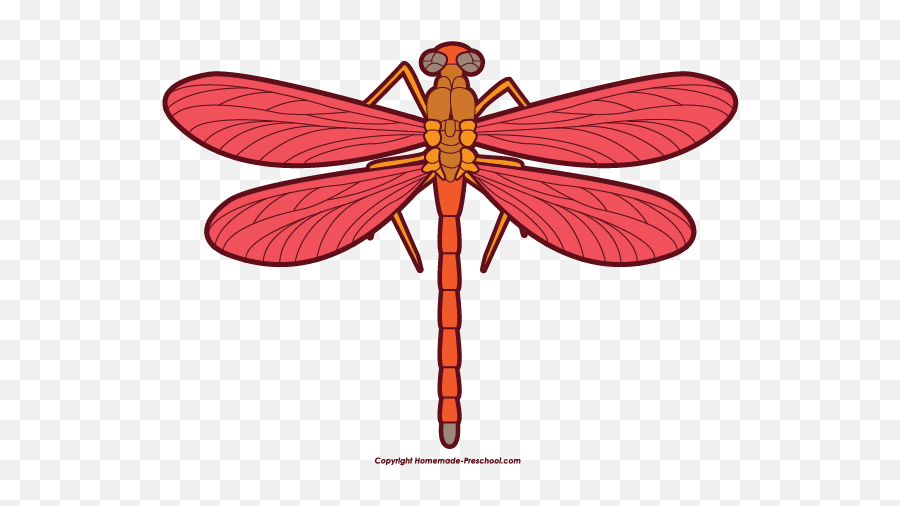 Free Dragonfly Clipart 2 - Dragonfly Clipart Png Emoji,Dragonfly Emoji