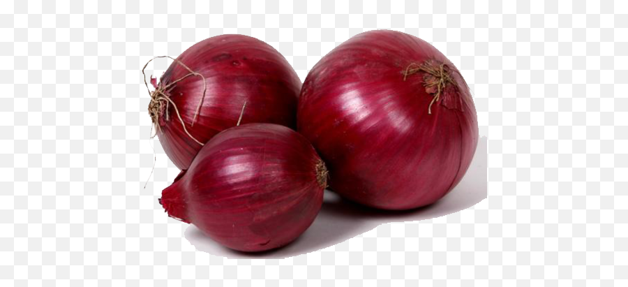 Download Free Png Red Onion - Onion Png Emoji,Onion Emoji