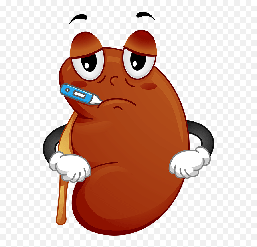 Understanding Clipart - Kidney Disease Clipart Emoji,Kidney Emoji