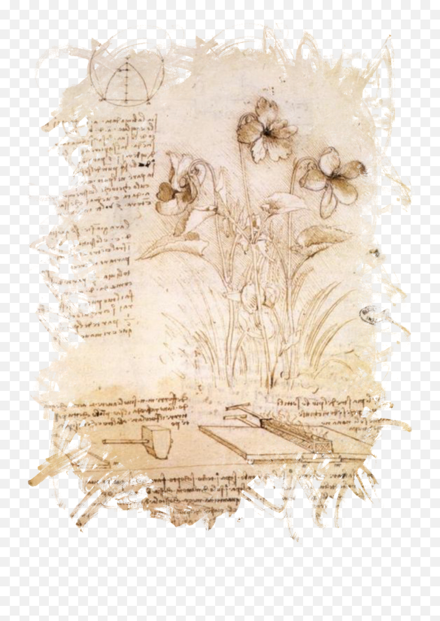 Leonardo Da Vinci Da Vinci Flower Paper - Leonardo Da Vinci Notebook Botany Emoji,Mona Lisa Emoji