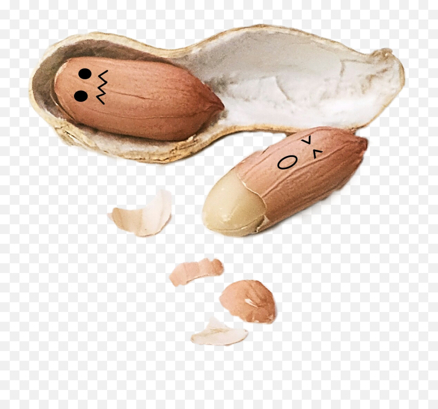 Peanuts - Sticker By Lewis Does Cockroach Poop Look Like Emoji,Peanut Emoji