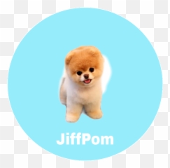 Jiffpom Art Puppy - Boyzathailand Sticker Emoji,Jiffpom Emoji