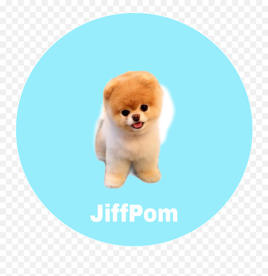 Jiffpom Art Puppy - Boyzathailand Sticker Emoji,Jiffpom Emoji