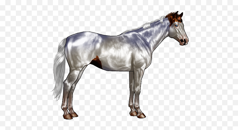 Sabino Horse Pony Chestnut Equine Coat Color - Horse Png Chocolate Roan Horse Marking Emoji,Horse Emoticons