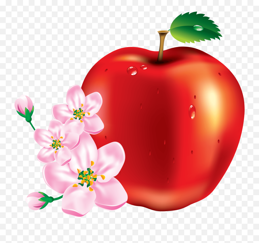 50 Red Apple Png Image - Apple Fruit Flower Emoji,Red Apple Emoji