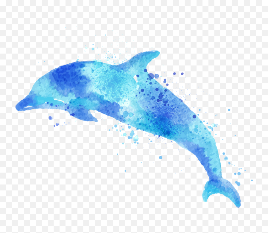 Largest Collection Of Free - Tri Delta Canvas Dolphin Emoji,Miami Dolphins Emoji