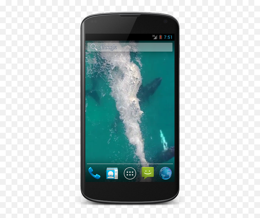 Whales Free Video Wallpaper 11 Download Apk For Android - Ice Cream Sandwich Screenshots Emoji,Free And Whale Emoji