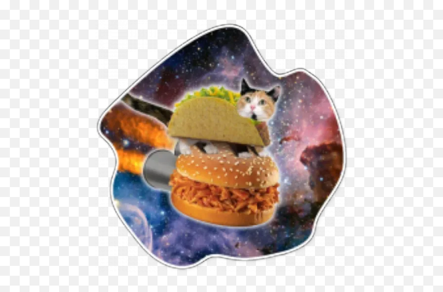 Space Cats Stickers For Whatsapp - Taco Cat Emoji,Emoji Macaroon