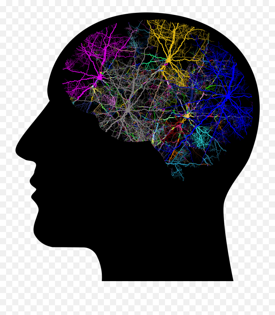 Brain Health Rhapsody In Words - Brain Analysis Emoji,Facebook Emoticon Meanings