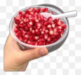 Pomegranate Pomegranateseeds Yummy Fruit Seeds Niche - Food Emoji,Pomegranate Emoji