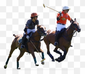 Polo Drawing Horse Transparent Png - Horse Polo Png Emoji,Cat Cow Horse World Emoji