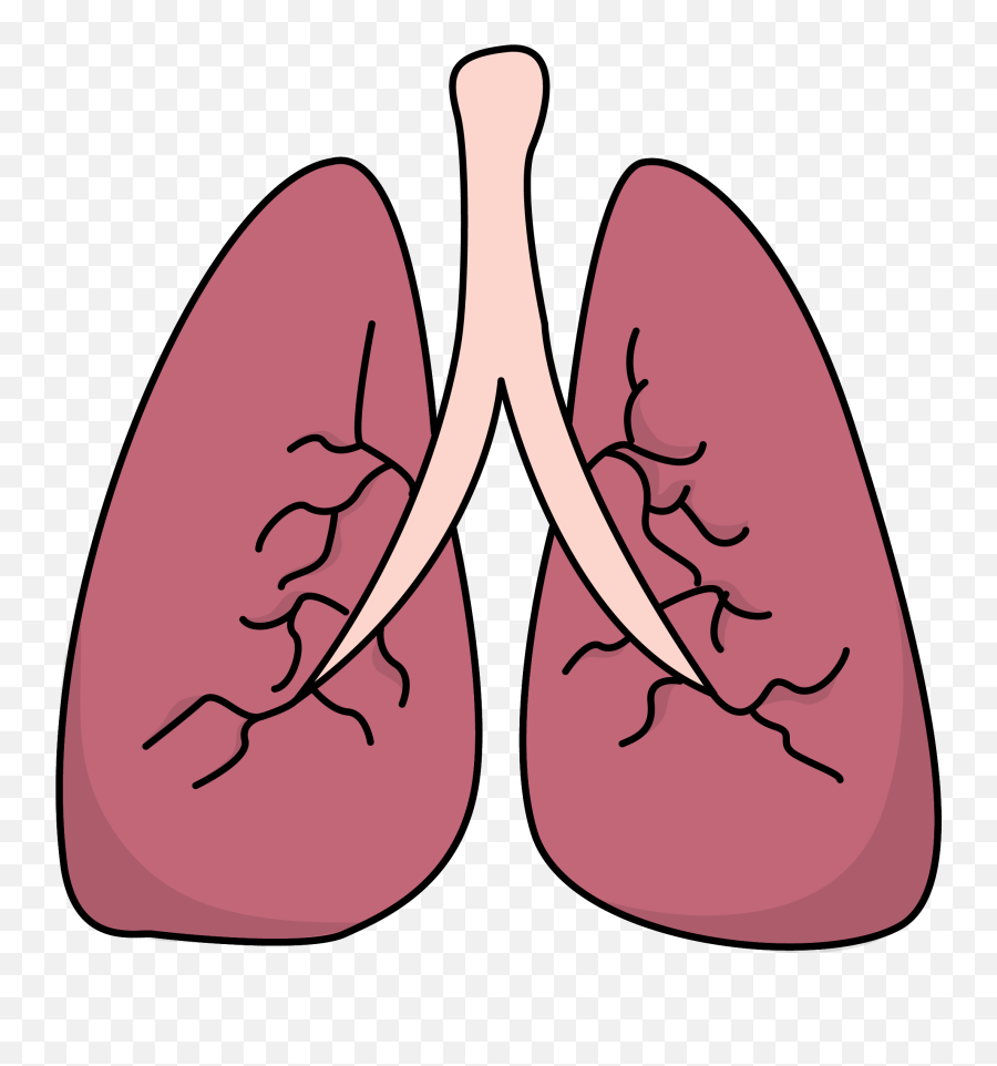 Lungs Clipart Pulmones Lungs Pulmones - Lung Clip Art Emoji,Lung Emoji