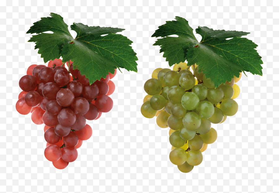 Download Grape Png Image Hq Png Image - Grapes Fruit Emoji,Grape Emoji Png