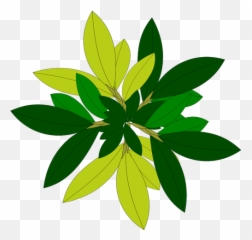 Tree Leaves - Plant Top View Png Vector Emoji,Palm Tree Emojis