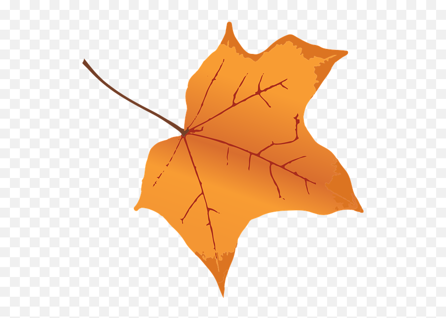 Largest Collection Of Free - Toedit Maple Leaf Stickers On Maple Leaf Emoji,Maple Leaf Emoji