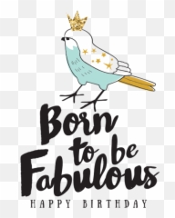 Happy Birthday Card Wishes For Imessage By Bhadrik Mehta - Cockatiel Emoji,Happy Birthday Emoji Iphone