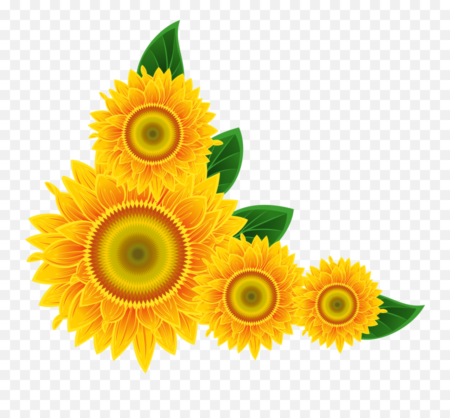 Sunflower Png Image Transparent Background Sunflower Png - Border Sunflower Clipart Emoji,Sunflower Emoji Transparent