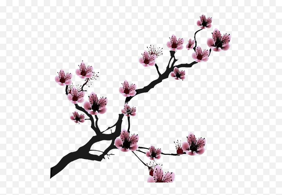 Cherry Blossom Drawing Clip Art - Cherry Blossom Drawing Emoji,Cherry Blossom Emoticon
