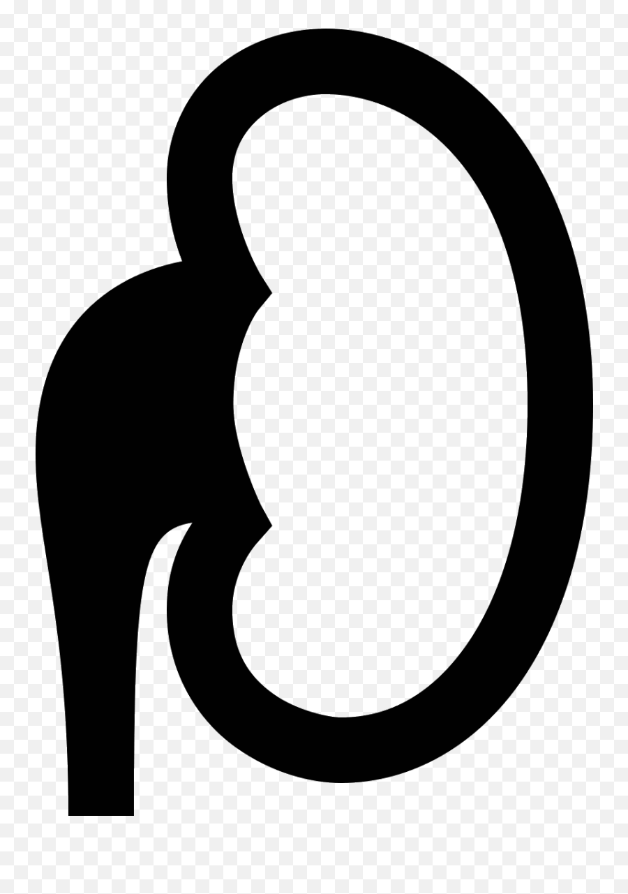 Kidney Vector At Getdrawings - Circle Emoji,Kidney Emoji