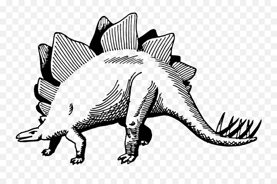 Stegosaurus Dinosaur Dino Prehistoric - Free Stegosaurus Vector Emoji,Dinosaur Emoji Text