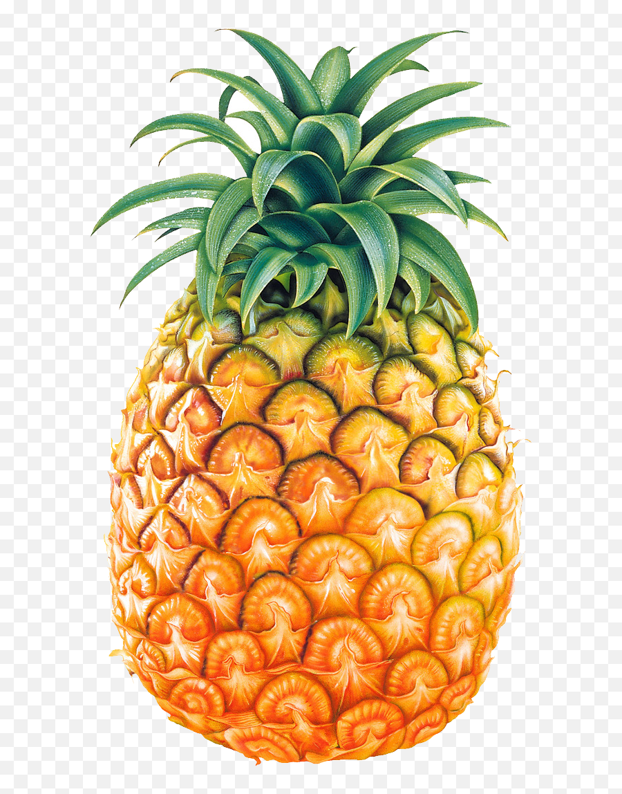 Pineapple Images Free Pictures Download Clip Art - Pineapple Cliparts Emoji,Pineapple Emoji