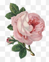 Tumblr Flower Png Transparent - Love Rose Day Quotes Emoji,Flower Emoji Tumblr