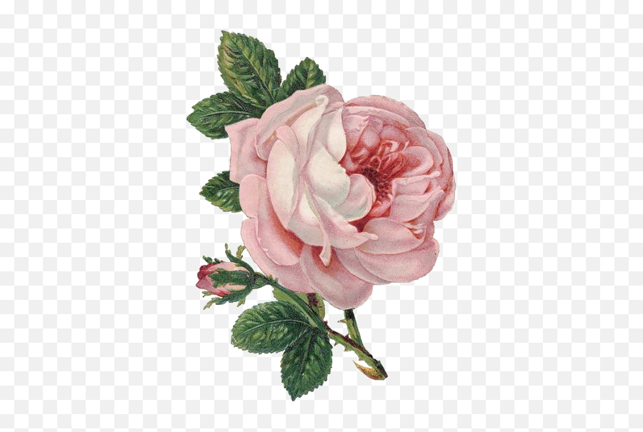 Tumblr Flower Png Transparent - Love Rose Day Quotes Emoji,Flower Emoji Tumblr