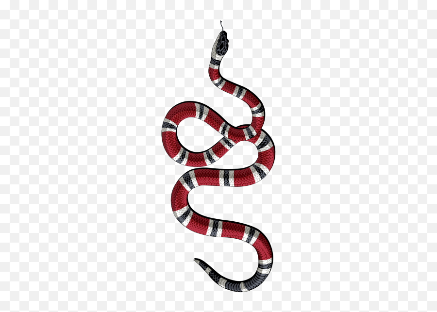 Snake Png And Vectors For Free Download - Dlpngcom Gucci Snake Logo Png Emoji,Snake Emoji