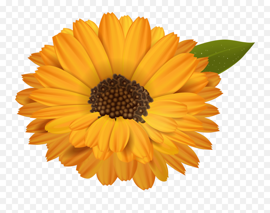 Orange Flowers Clipart - Flowers Transparent Background Free Emoji,Orange Flower Emoji