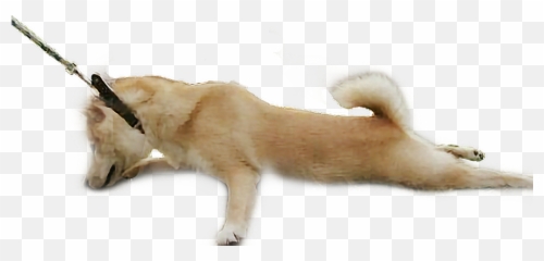 Shiba Leavemealone Hardwork Pets U0026 Animals Animals Dog - Domestic Cat Emoji,Shiba Emoji