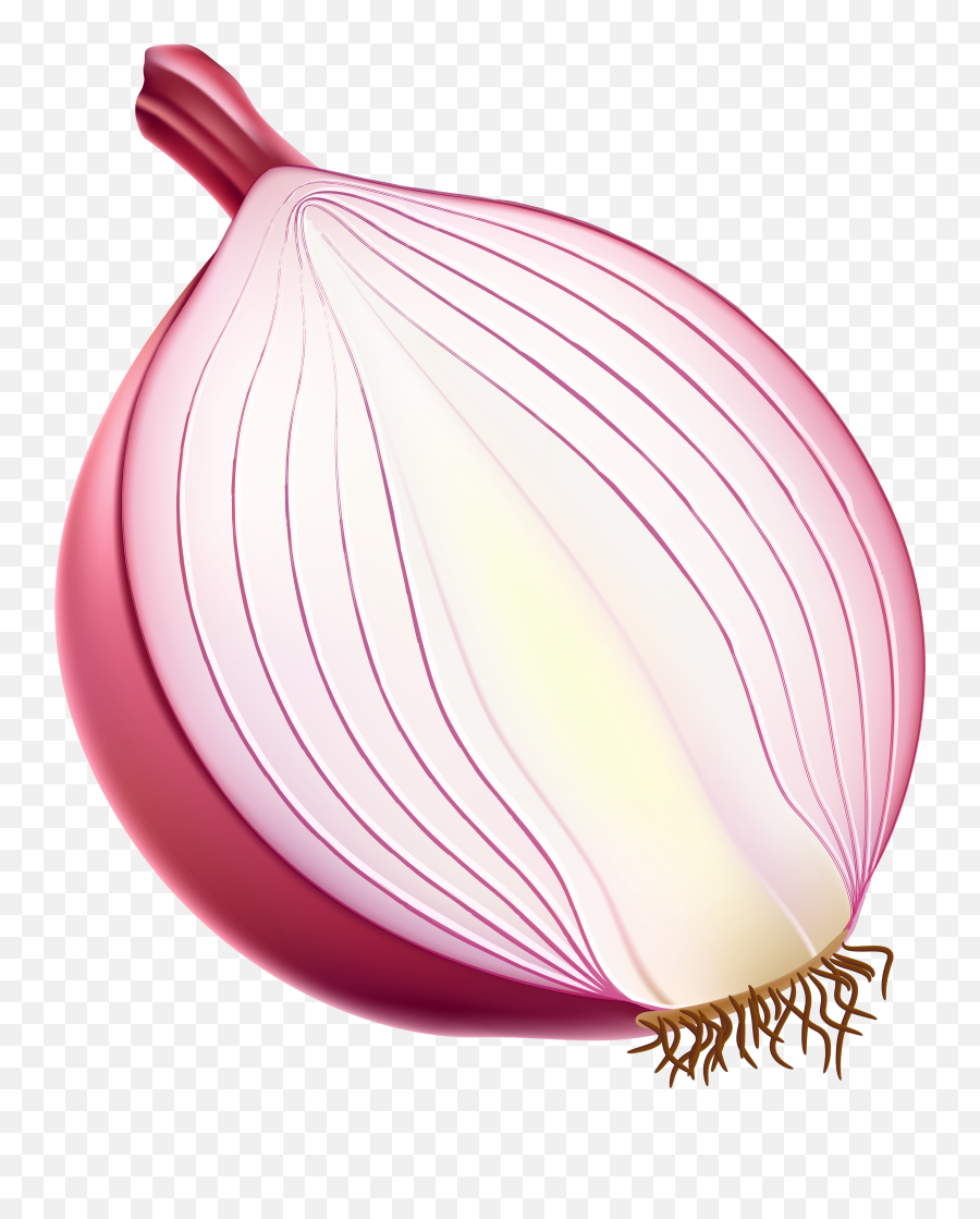 Transparent Onion Clipart Png - Red Onion Clip Art Emoji,Onion Emoji