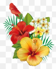 Flower - Hawaiian Tropical Flowers Png Emoji
