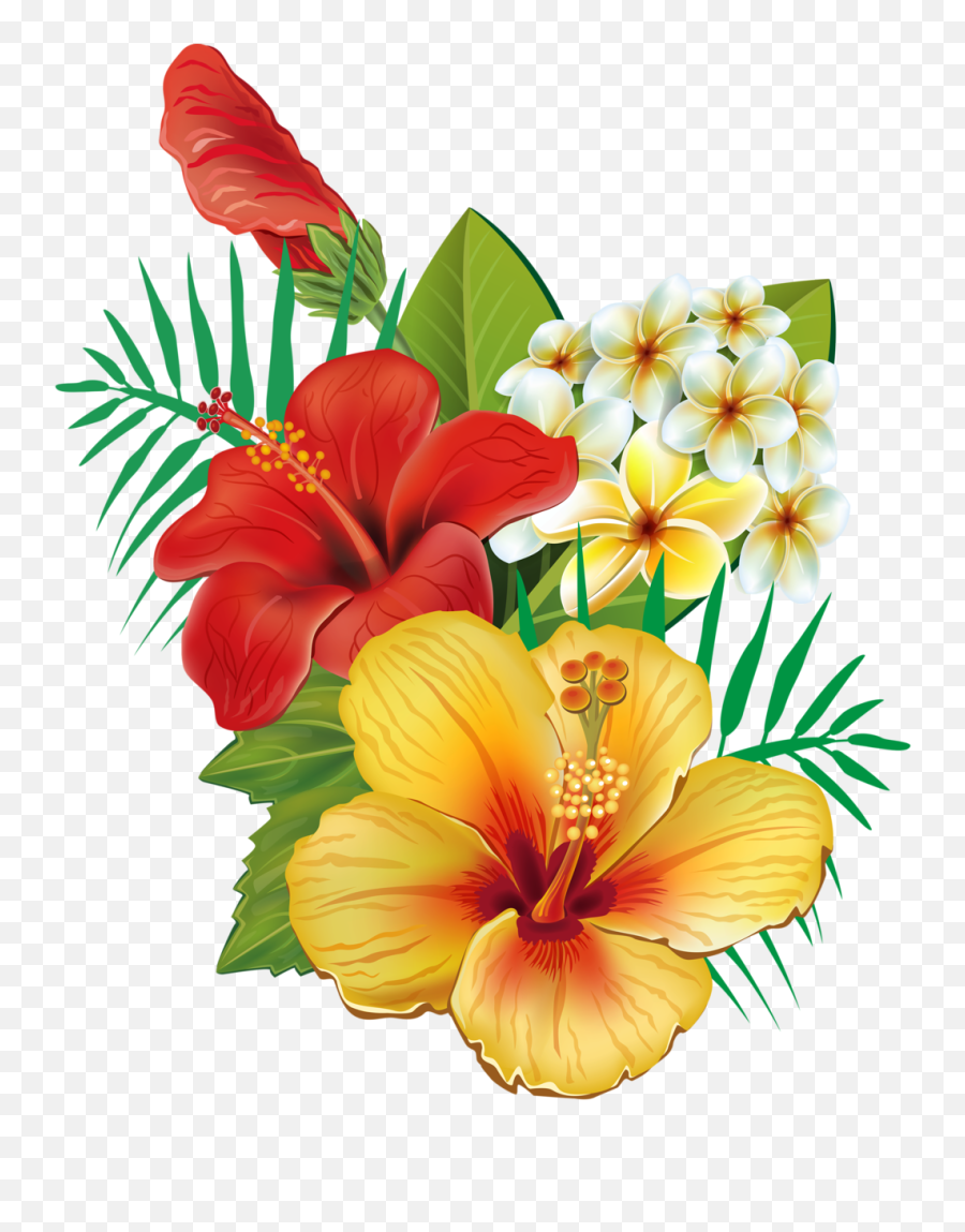 Flower - Hawaiian Tropical Flowers Png Emoji,Hawaiian Flower Emoji