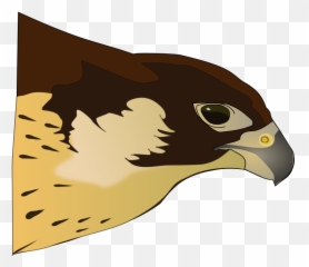 Hawk Clip Art Free 3 - Png Clipart Hawk Emoji,Hawks Emoji