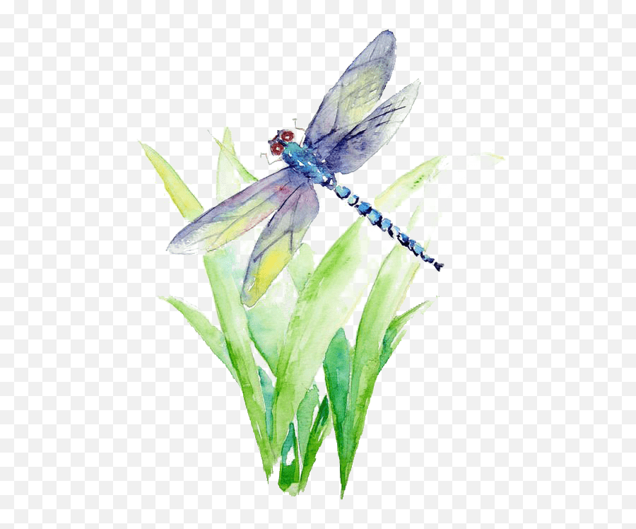 Blue And Purple Dragonfly Illustration Watercolor Painting - Clip Art Dragonfly Emoji,Dragonfly Emoji
