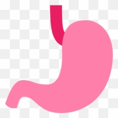 Stomach Icon - Gastrointestinal Png Emoji
