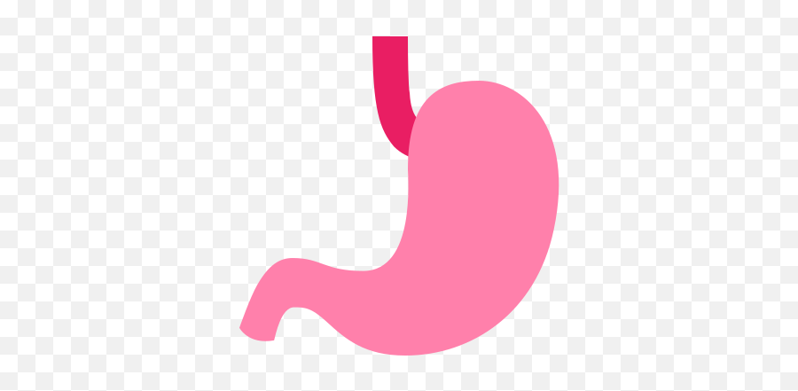 Stomach Icon - Gastrointestinal Png Emoji,Stomach Emoji