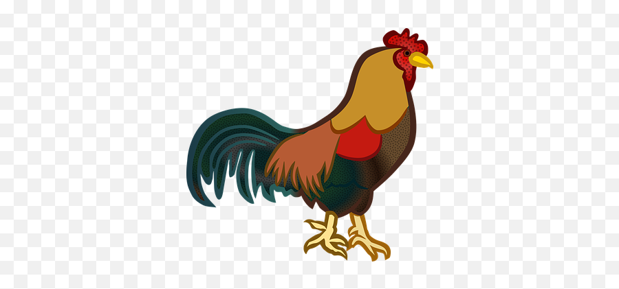 80 Free Cock U0026 Rooster Vectors - Pixabay Gambar Ayam Jantan Kartun Emoji,Rooster Emoticon