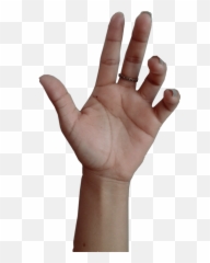 Trending - Hand Emoji,Raises Hand Emoji