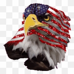 Top Patriot Act Stickers For Android - Bald Eagle American Flag Emoji