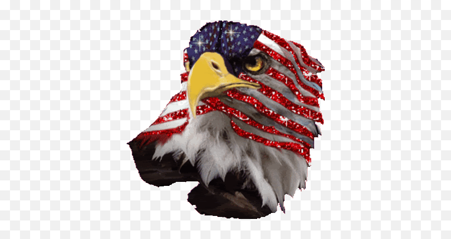 Top Patriot Act Stickers For Android - Bald Eagle And American Flag Emoji,Emoticons Chicken