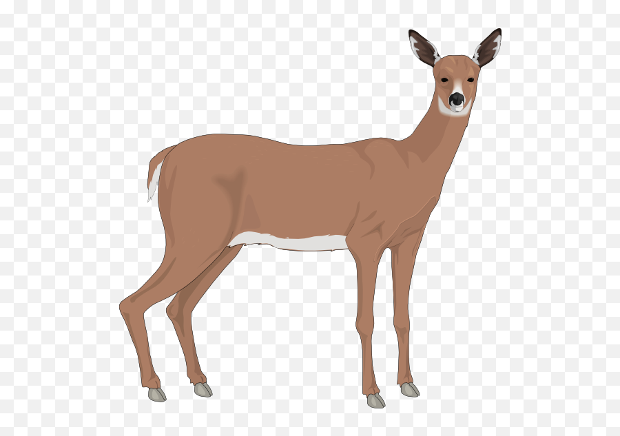 Deer Free To Use Clipart - Doe Clip Art Emoji,Buck Deer Emoji